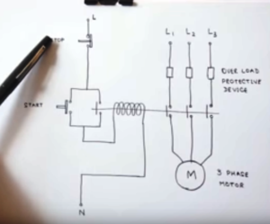 3 Phase Motor